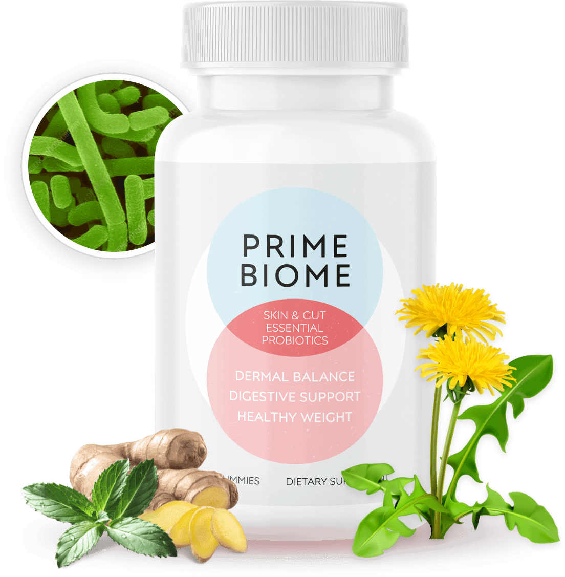 Prime Biome Probiotic Gummies for Gut & Skin Health